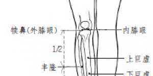 2.6丰隆、犊鼻和巨虚的使用方法