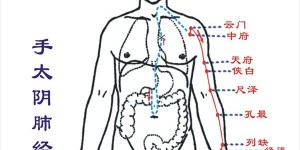 第五章 人体手太阴肺经专科医院