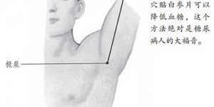 3.2白参片配极泉，天下哪有这么好的“健胃消食片”