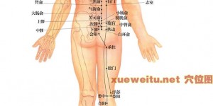 6.7膀胱经路线图及功臣穴位