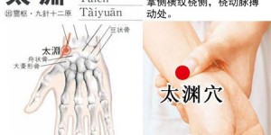 太渊穴的准确位置图