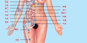 足阳明胃经穴位主治