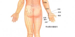手太阳小肠经经穴