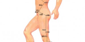 胆经 | 足少阳胆经协调阴阳运转 附胆经44个穴位图解