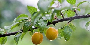 雨水体检好时候