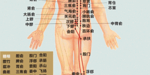 栾博士怀孕讲义：怀孕四月，有寒、有热