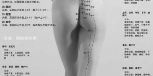 人体背部穴位图解大全 人体背部穴位对应器官