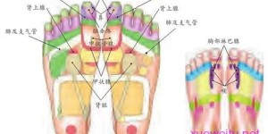 【图解】流行性感冒足浴、足部按摩疗法