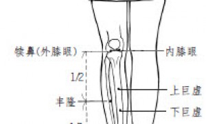 2.6丰隆、犊鼻和巨虚的使用方法