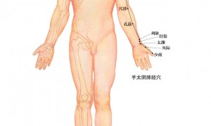 手太阴肺经歌谣