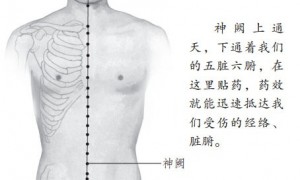 维系生命的长寿穴位——神阙穴