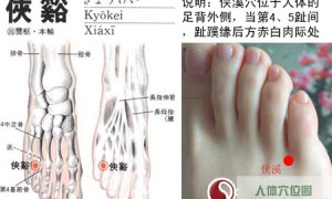 10.6清火速效丹——侠溪