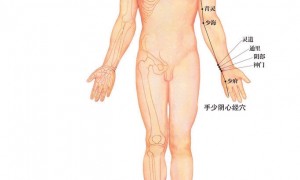 9.11心经路线图及功臣穴位