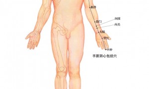 13.8心包经路线图及功臣穴位