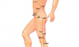 胆经 | 足少阳胆经协调阴阳运转 附胆经44个穴位图解