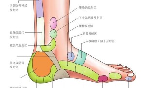 足部按摩的起源与发展