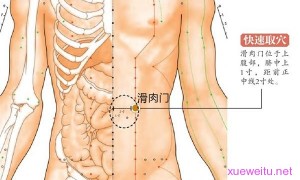 滑肉门穴、内庭穴只需这两个穴位减肥按摩方法