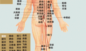 栾博士怀孕讲义：怀孕四月，有寒、有热