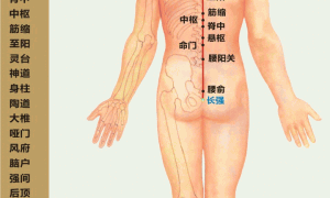 督脉的作用和功能（栾加芹博士讲解）