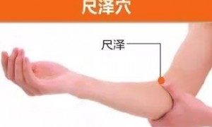 【手太阴肺经】尺泽穴：治疗腹痛的奇效穴