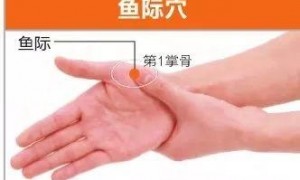 【手太阴肺经】鱼际穴：摸摸小鱼解疲劳