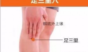 按摩足三里穴位可以治疗慢性盆腔炎症吗？