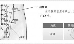 【经外奇穴】利尿穴准确位置图