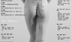 人体背部穴位图解大全 人体背部穴位对应器官