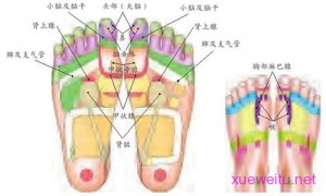 【图解】流行性感冒足浴、足部按摩疗法