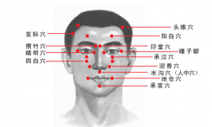 头部29个穴位图，经络图，图文介绍