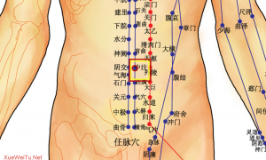 肚子上的经络有哪些？