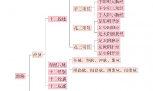 汤头歌诀之十二经脉歌 十二经脉歌诀必背