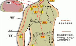 敲打大肠经，清理肠道，一身轻松